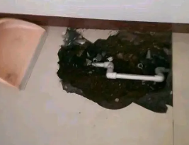 太康卫生间测漏水多少钱